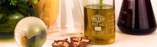 L’ÉVOLUTION DES COSMÉTIQUES NATURELS