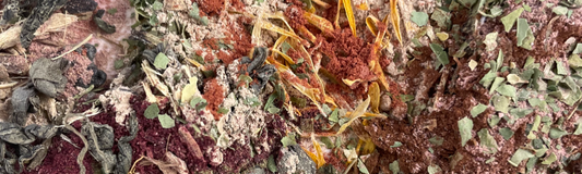 NOTRE COMPLEXE "VITALITÉ"